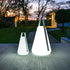 B Bulb+